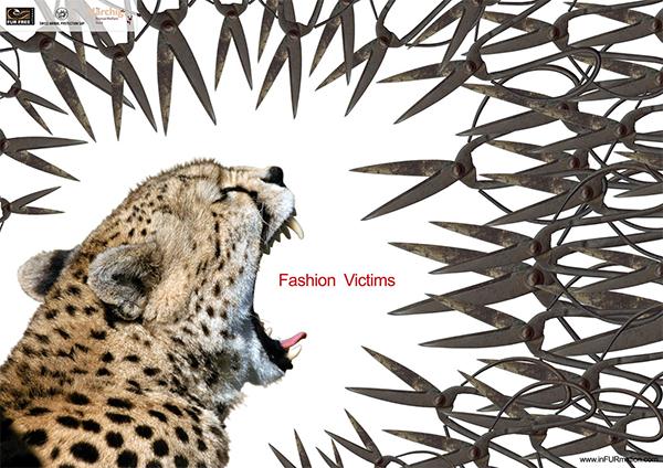 苏州公交车身广告