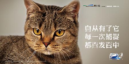 苏州公交车身广告获奖作品